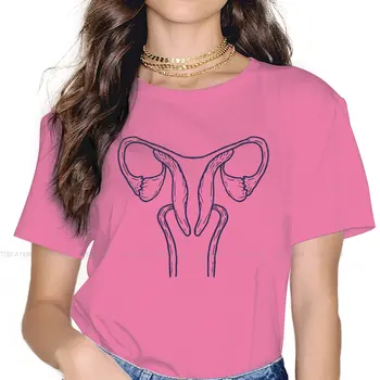 Матката Яйчник Шийката на матката Фаллопиевы тръба Изолиран фон на Женската репродуктивна система Тениска с кръгло деколте Правото на аборт новородено